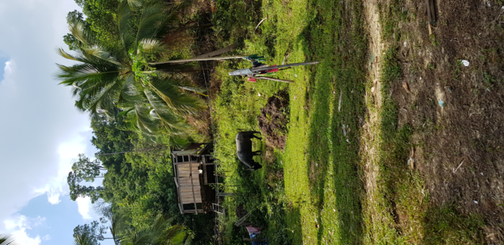Koh Rong - Gewoon een dag op koh Rong