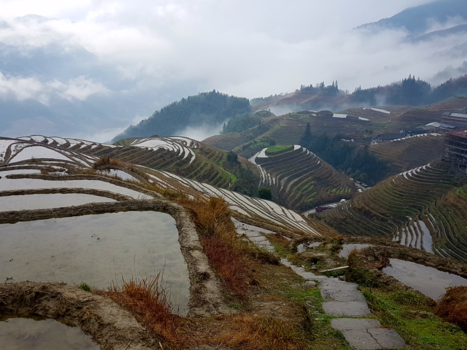China - Rijstvelden van Longsheng