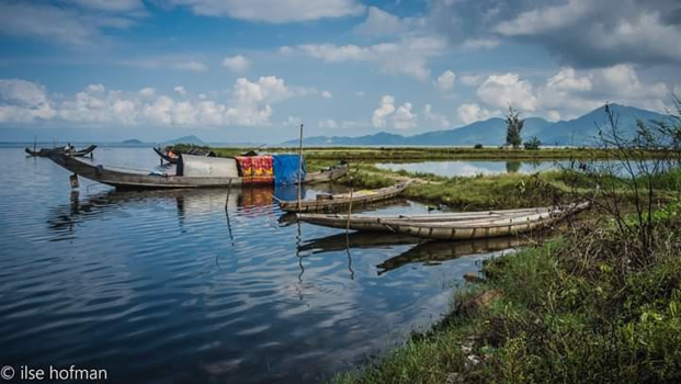 Vietnam - Fishing boats in the bay