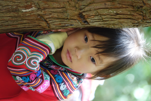 Rondreis door het zuiden van China - Droom moment