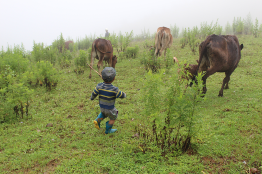 Rondreis Vietnam in vier weken - Culture