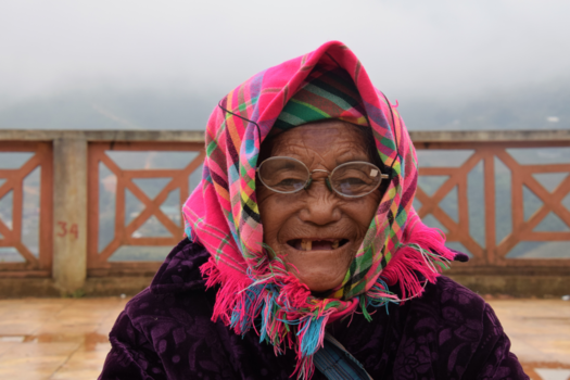 Rondreis Vietnam in twee weken - Mooie dame in SAPA