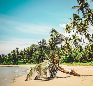Sri Lanka - Sunday Feels