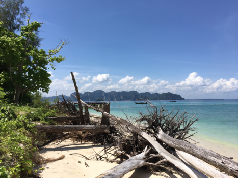Rondreis Thailand in twee weken - Eiland Krabi