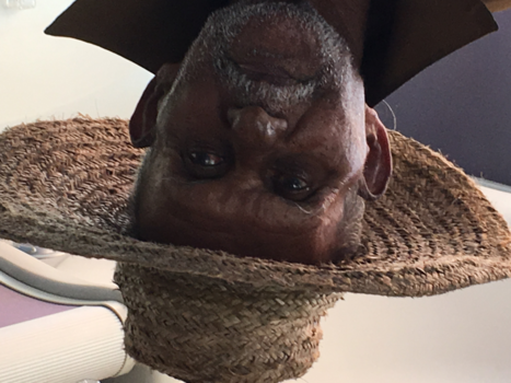 Sri Lanka - Paalvisser