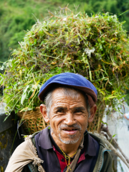 Annapurna Trail Trek - Locals doing the hard work
