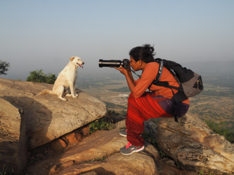 India - toeristen-vriend