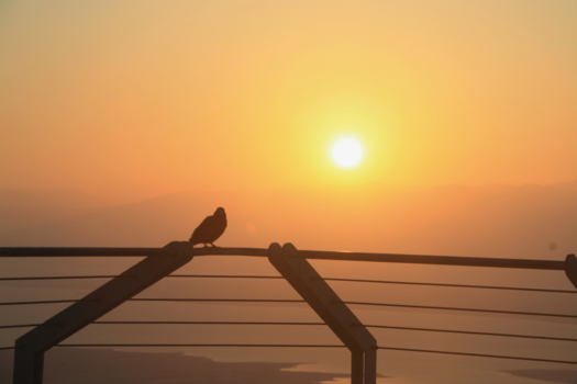 Israël - Massada sunrise