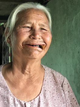 Vietnam - Sirih betelpruim Vietnam