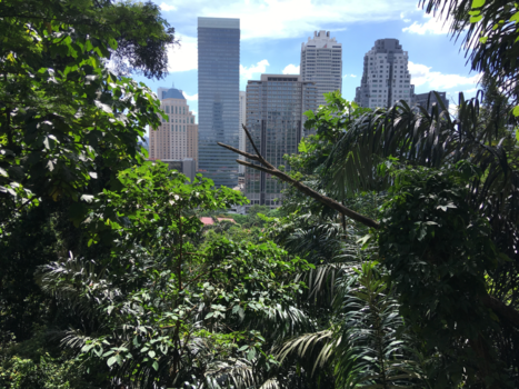 Kuala Lumpur - Kuala Lumpur omlijst door junglegroen-wat een prachtige contrasten