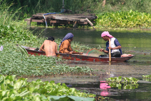 Thailand - Zit hier vis?