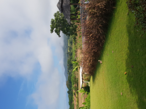 Pai - When life gives you Pai