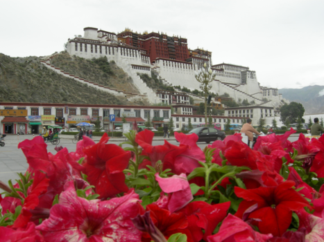 Lhasa - Potala-paleis waar ooit de Dalai Lama woonde
