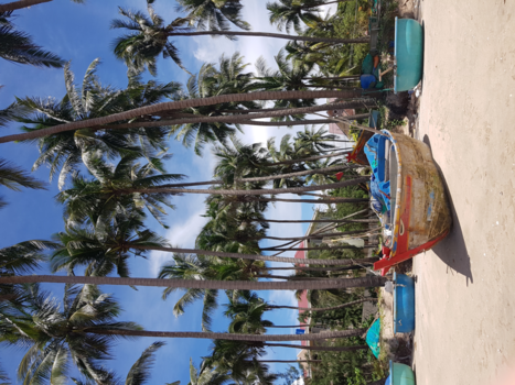 Sri Lanka - Vietnam- Moi ne