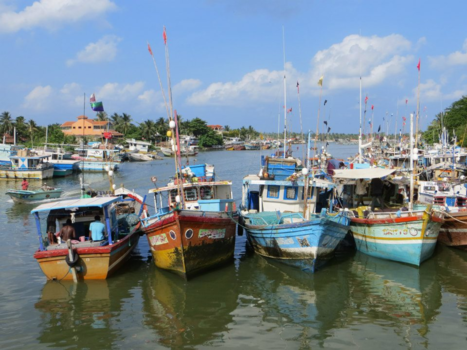 Sri Lanka - Harbour