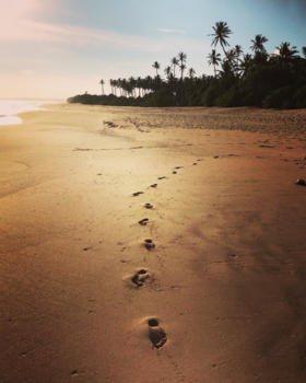 Sri Lanka - Take nothing but memories, leave nothing but footprints