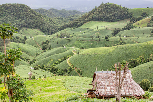 Rondreis Noord-Thailand - prachtige natuur