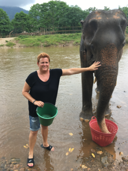 Rondreis Thailand in twee weken - Olifant wassen en voeren