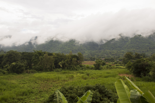 Thailand - Het groene Chiang Mai