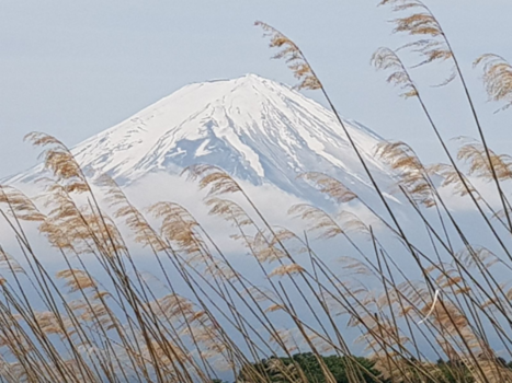 Japan - Fuji in the sky