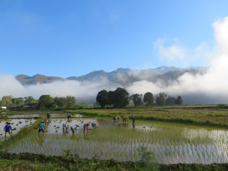 Rondreis Thailand & Cambodja - Perfecte screensaver