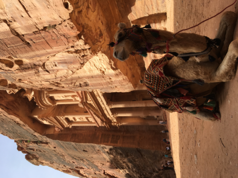 Petra - Petra Jordanië