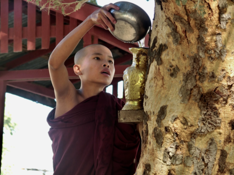 Myanmar - Toegewijde jonge monnik