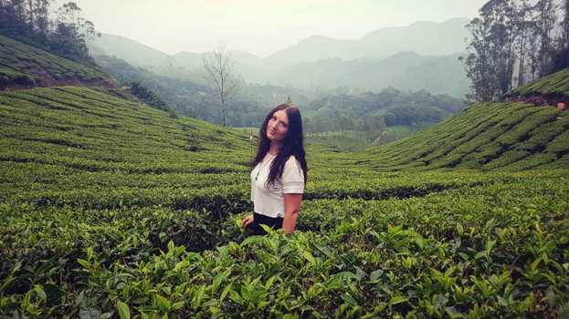 India - Munnar in the mist