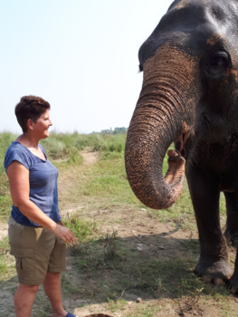 Nepal - Puur genieten olifantvoeren en wassen