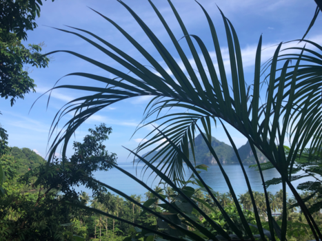 Filipijnen - El Nido - Uitzicht vanuit onze boomhut