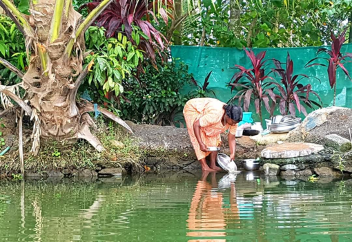 India - Doing the dishes in the backwaters of allepey