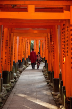 Kyoto - torii gates