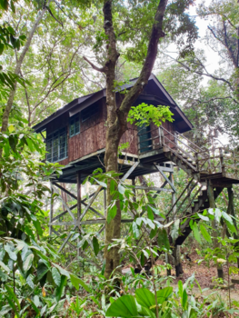 Rondreis door Maleisisch Borneo