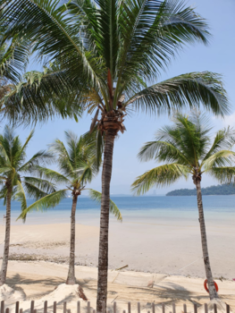 Rondreis door Maleisisch Borneo