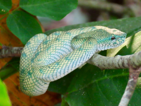 Rondreis door Maleisisch Borneo