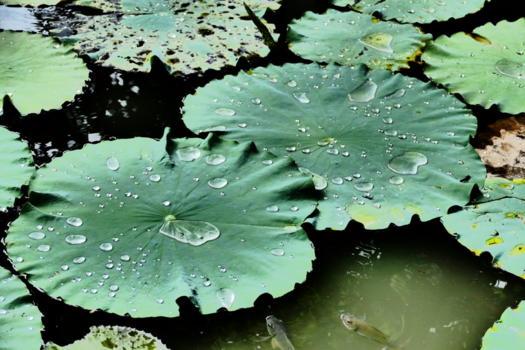 Hanoi - Eenvoudig, maar mooi...