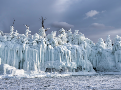 Baikalmeer - Bevroren bomen
