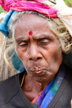 Sri Lanka - Thee plukster