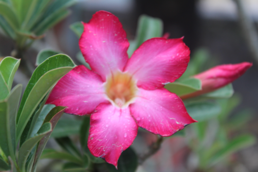 Vietnam - Nature of Vietnam