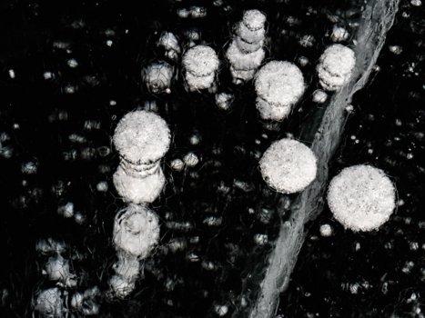 Baikalmeer - belletjes in ijs