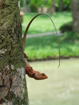 Rondreis Vietnam in twee weken - verstoppertje spelen