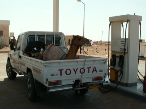 Oman - even tanken