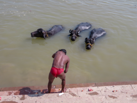 Varanasi - Wassen in de heilige rivier de Ganges