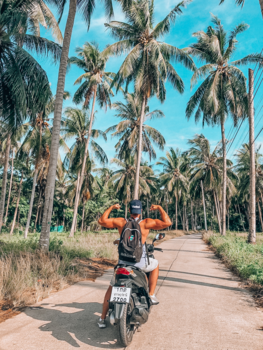 Koh Samui - Welcome to the jungle