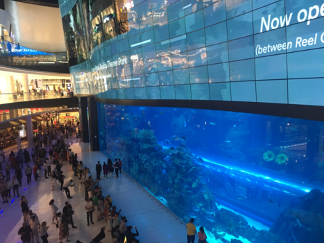 Dubai Mall - Acquarium in Dubai Mall