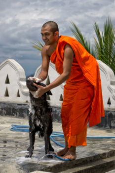 Sri Lanka - "May all beings have happy minds"- Buddha
