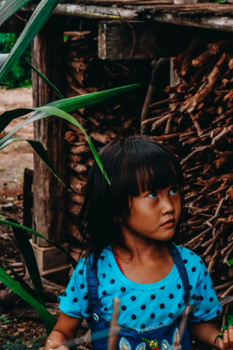 Chiang Mai - Jungle kind