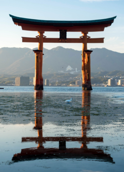 Japan - Water is rising