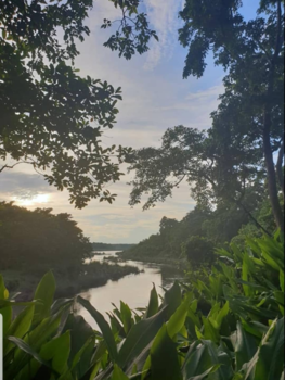 Chitwan National Park - De jungle op zijn mooist