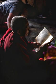 Tibet - Tibetan Monk "The rich invest in wisdom, the poor invest in money"